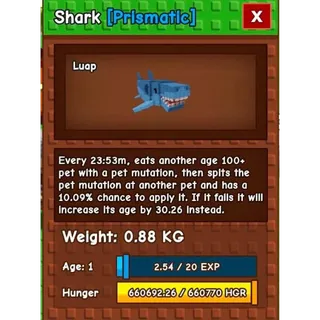 Shark