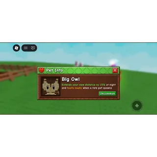 BIG OWL