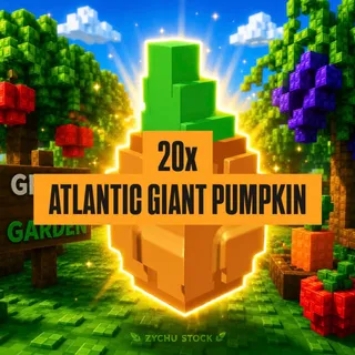 20x ATLANTIC GIANT PUMPKIN