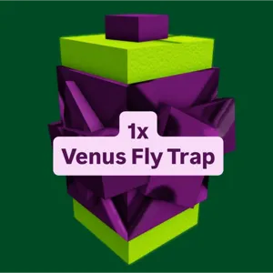 1x Venus Fly Trap