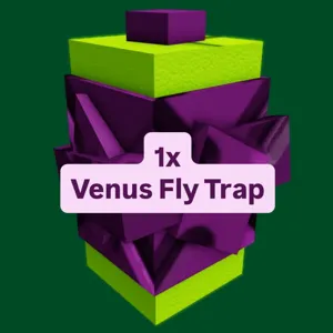 1x Venus Fly Trap
