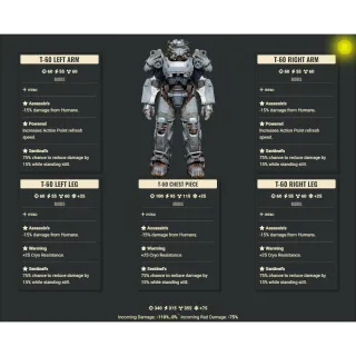 T-60 Assassin Cryo/AP Sentinel