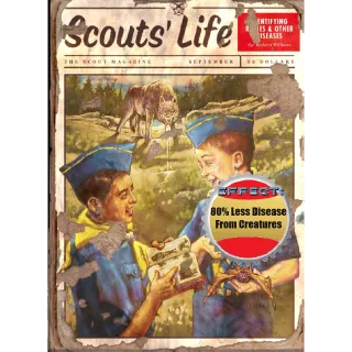 500 Scouts' Life #5