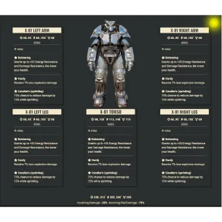 X-01 Bolstering Ex Cavalier