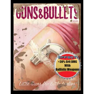 500 Guns & Bullets #3