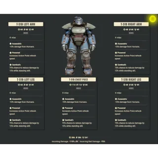 T-51b Assassin AP Sentinel