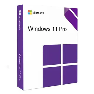 Windows 11 Professional Retail Key