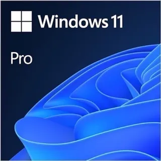 Windows 11 Pro