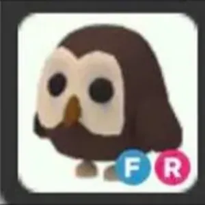 FR Owl