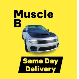 Muscle B