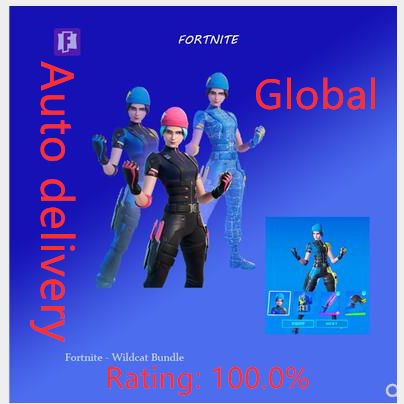 Code | Fortnite wildcat+2000VB - In-Game Items - Gameflip