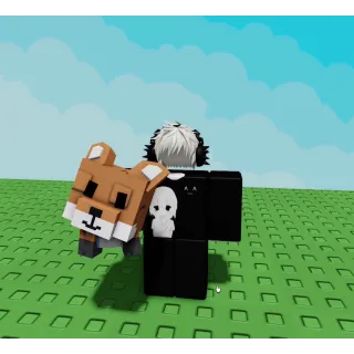 Red Fox [3.39 KG] Age: 32