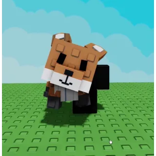 Red fox [6.27 KG] Age: 26