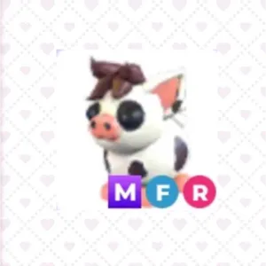 MFR | Mini Pig