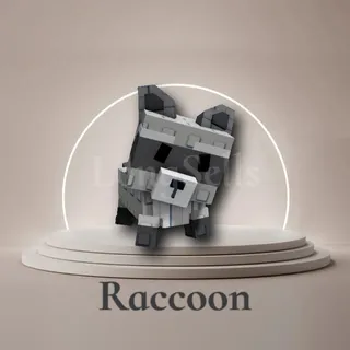 Raccoon Grow A Garden