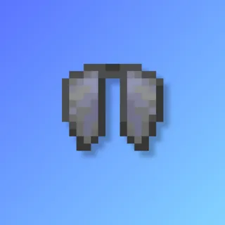 Elytra Donut SMP