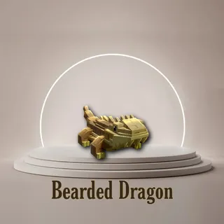 Bearded Dragon