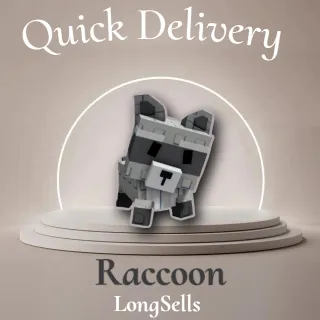 Raccoon