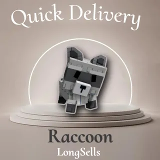 Raccoon