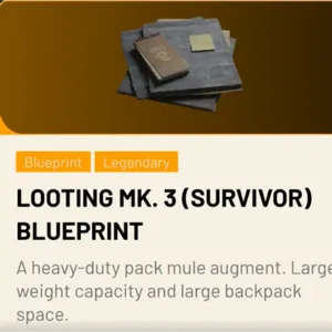 looting mk3 survivor BP