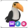 Mega Toucan