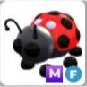 Mega Ladybug