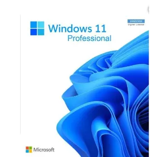 WINDOWS 11 PRO