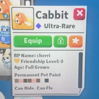 FR CABBIT