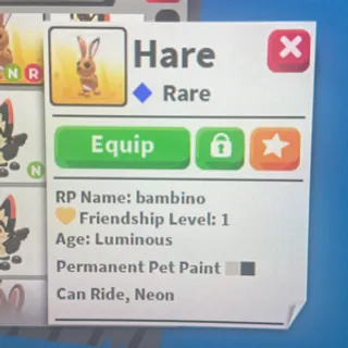 NR HARE