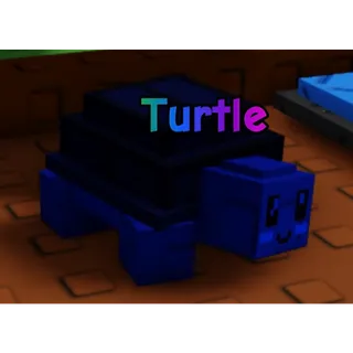 Rainbow turtle gag 2 fast delivery