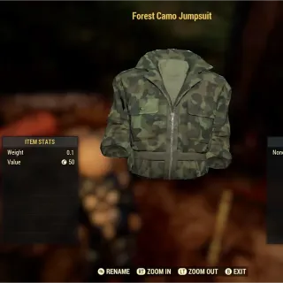 Forest camo