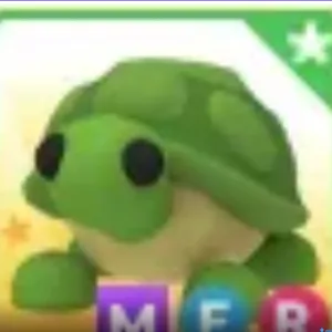 MFR TURTLE