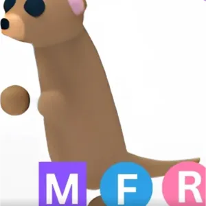 MFR MEERKAT