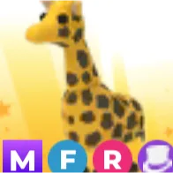 MFR GIRAFFE