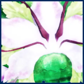 Shiny Mythic Hibiscia/bgsi