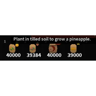 BUNDLED 10K PINEAPPLE, DRAGON, CHILI , STARFRUIT SEEDS