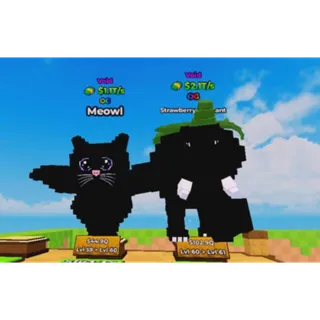 2x VOID BUNDLE (TAKE YOU SEEN ON THE IMAGE) | KICK A LUCKY BLOCK