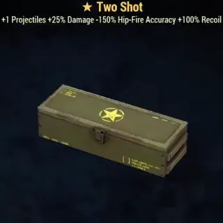 Two shot mod box