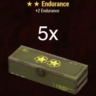 Endurance mod box 5x