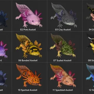 All axolotl