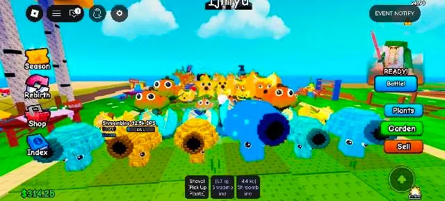 รายการภาพถ่าย