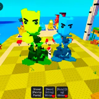 Winter Rose (Limited Plant) 2x BUNDLE PACK! With Mutations Huge Size