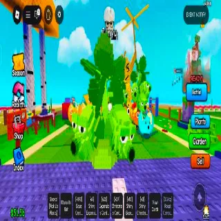 Brussel Sprout 10x Super Goodsize 2.1kg-7.1kg See Description