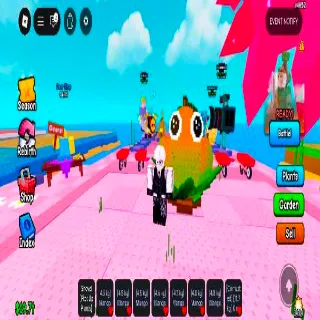 Mango 20x For New Event