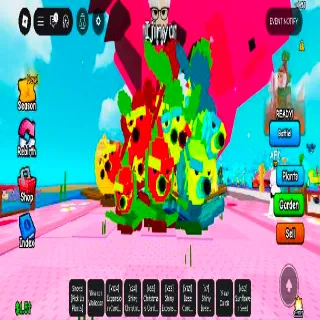 Brussel Sprout 3x Double Mutation 3kg-4kg Neon Mutation