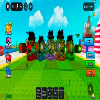 Kiwi Cannoneer 5x Aspack With Mutation (2.6kg-3.2kg)