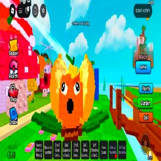 King Limone 10pieces Super Goodsize See Description