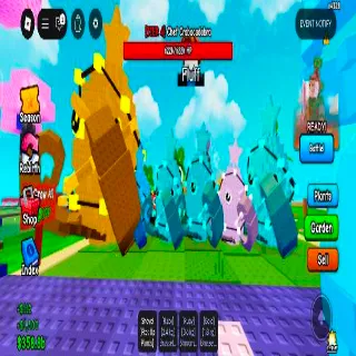 Pine A Present 6x Limited Plant