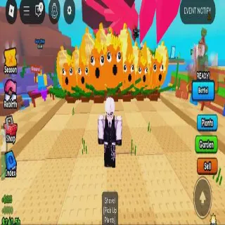 KING LIMONE 7X BUNDLE PACK 4.5KG - 6.4KG FOR FUSE MEOWZIO SUSHINI