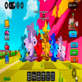 Brussel Sprout Aspack With Mutation 6x Good Size